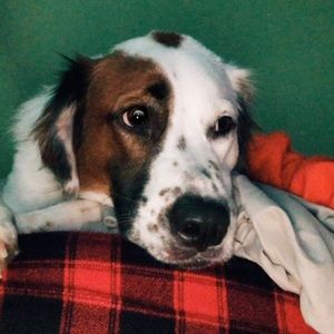 Meet your Posher, Carly